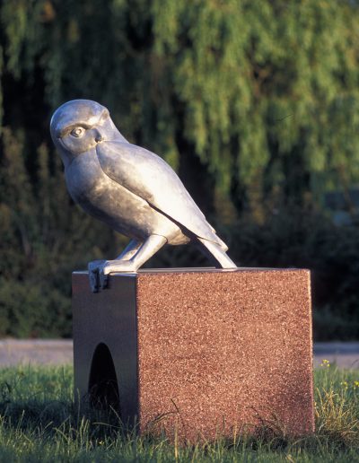 Owl with human hands and nose looking over its shoulder